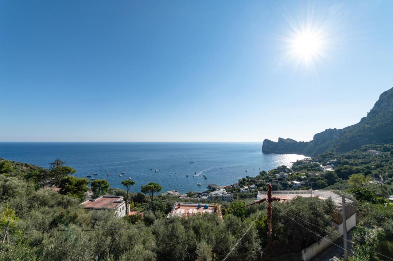 Main Roof Terrace Apartment Nerano Buitenkant foto