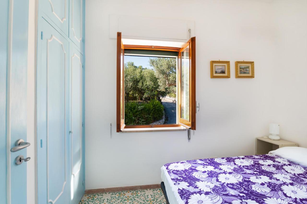 Main Roof Terrace Apartment Nerano Buitenkant foto